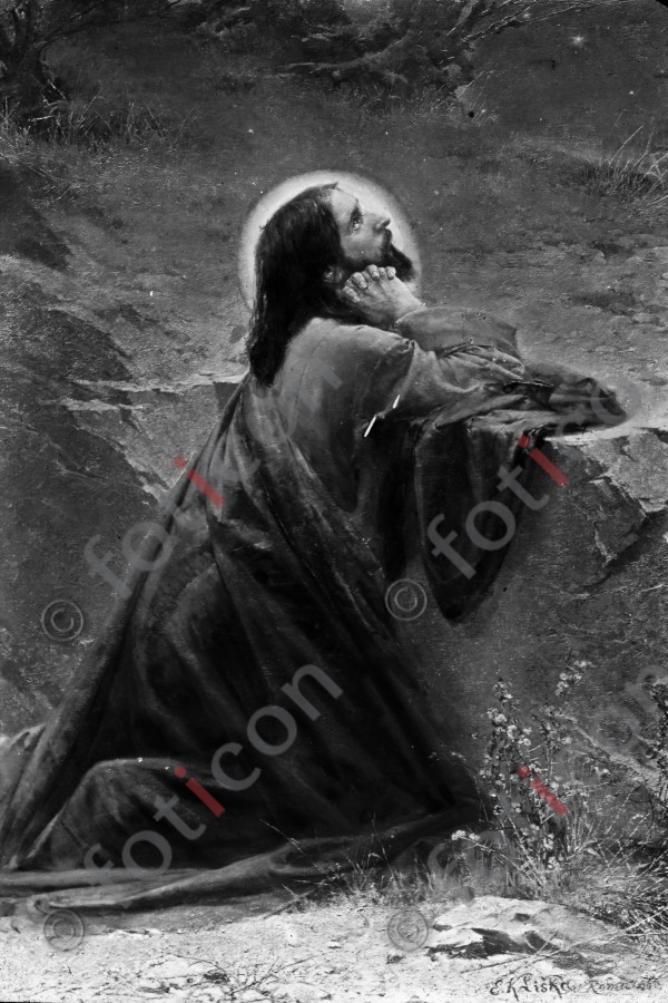 Christus betet im Garten Gethsemane am Ölberg | Christ prays in the garden Gethsemane at the Mount of Olives - Foto simon-134-042-sw.jpg | foticon.de - Bilddatenbank für Motive aus Geschichte und Kultur